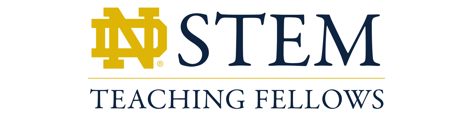 STEM Teaching Fellows