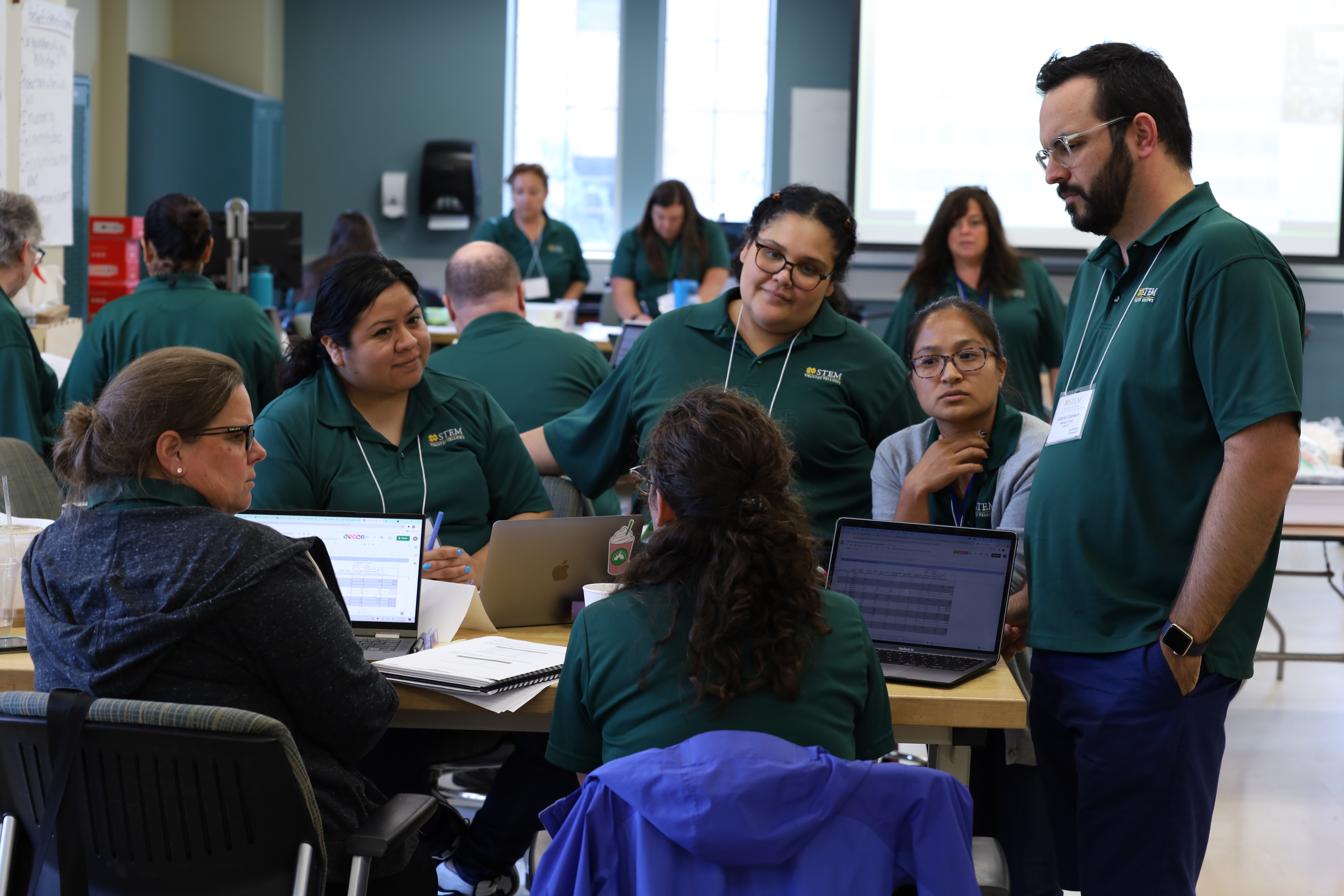 STEM Teaching Fellows