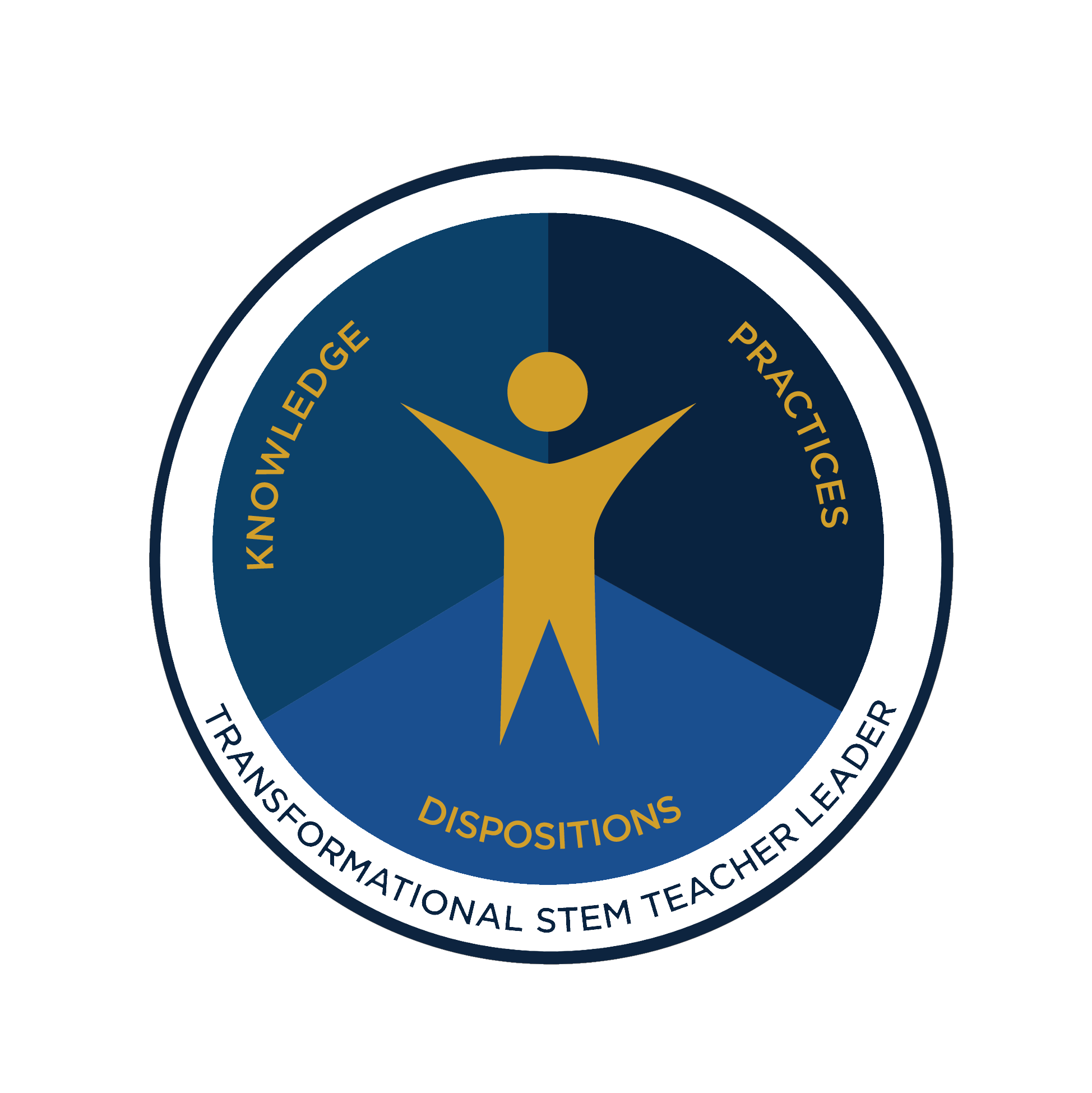 STEM Teaching Fellows